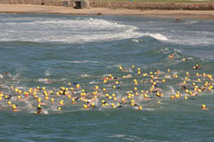 DSC_0066s.jpg