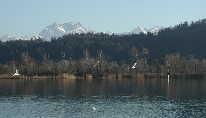 20050111